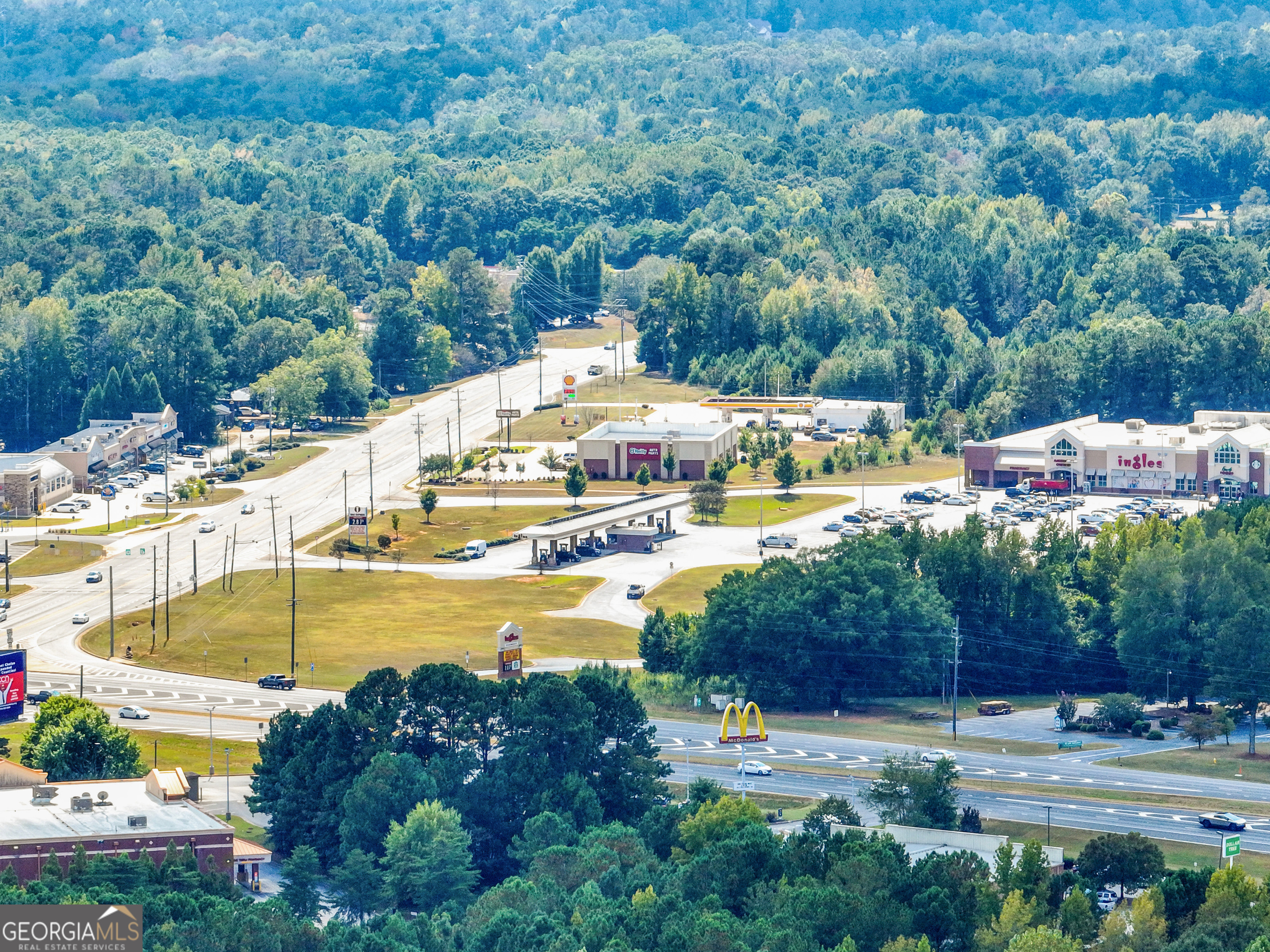 1541 Zebulon Road, Unit 4 TRACTS 35 ACRES Griffin, GA 30224 - Photo 11 of 26 a view of swimming pool with lawn chairs and plants