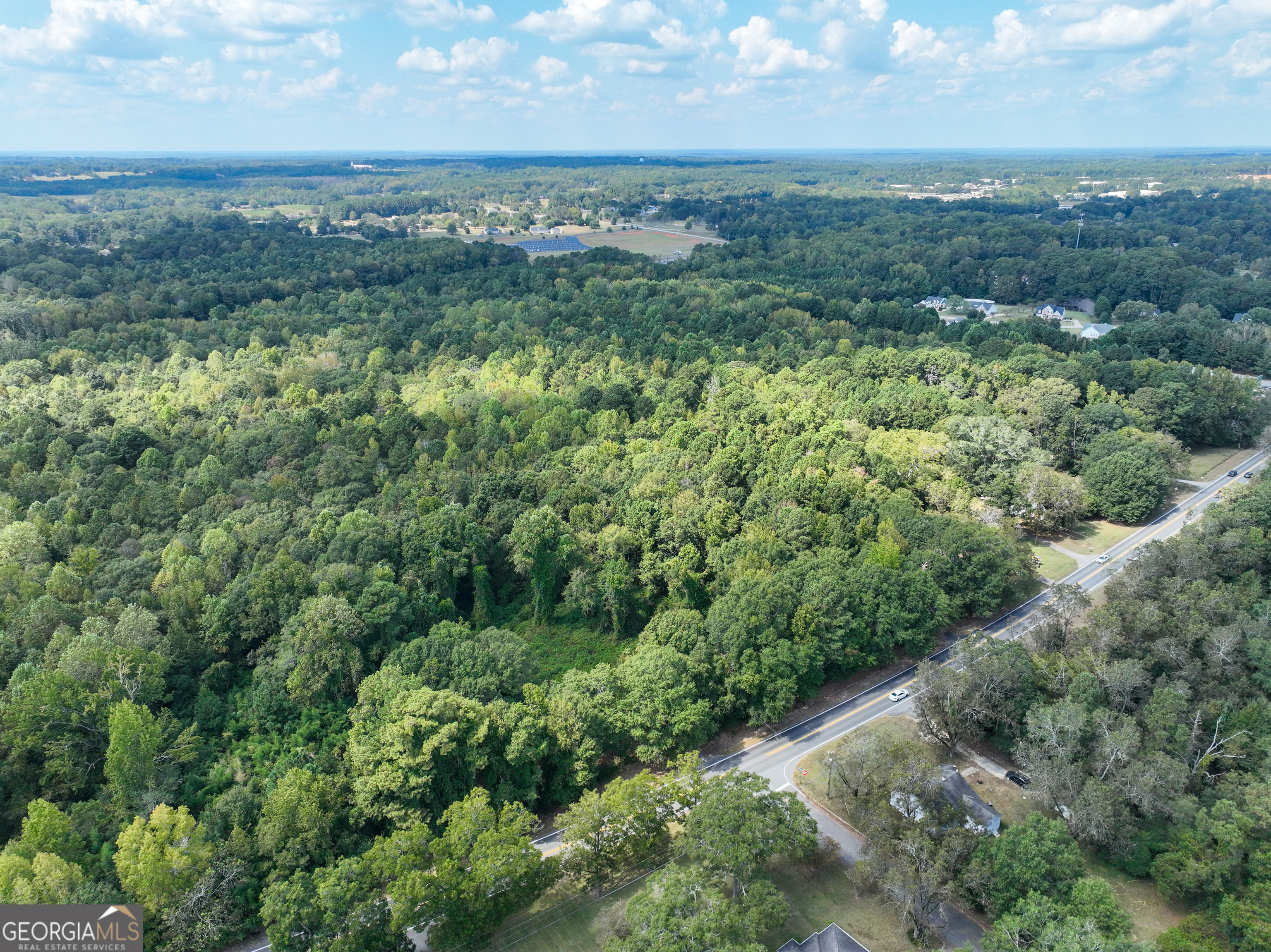 1541 Zebulon Road, Unit 4 TRACTS 35 ACRES Griffin, GA 30224 - Photo 17 of 26 an aerial view of residential houses with outdoor space and trees