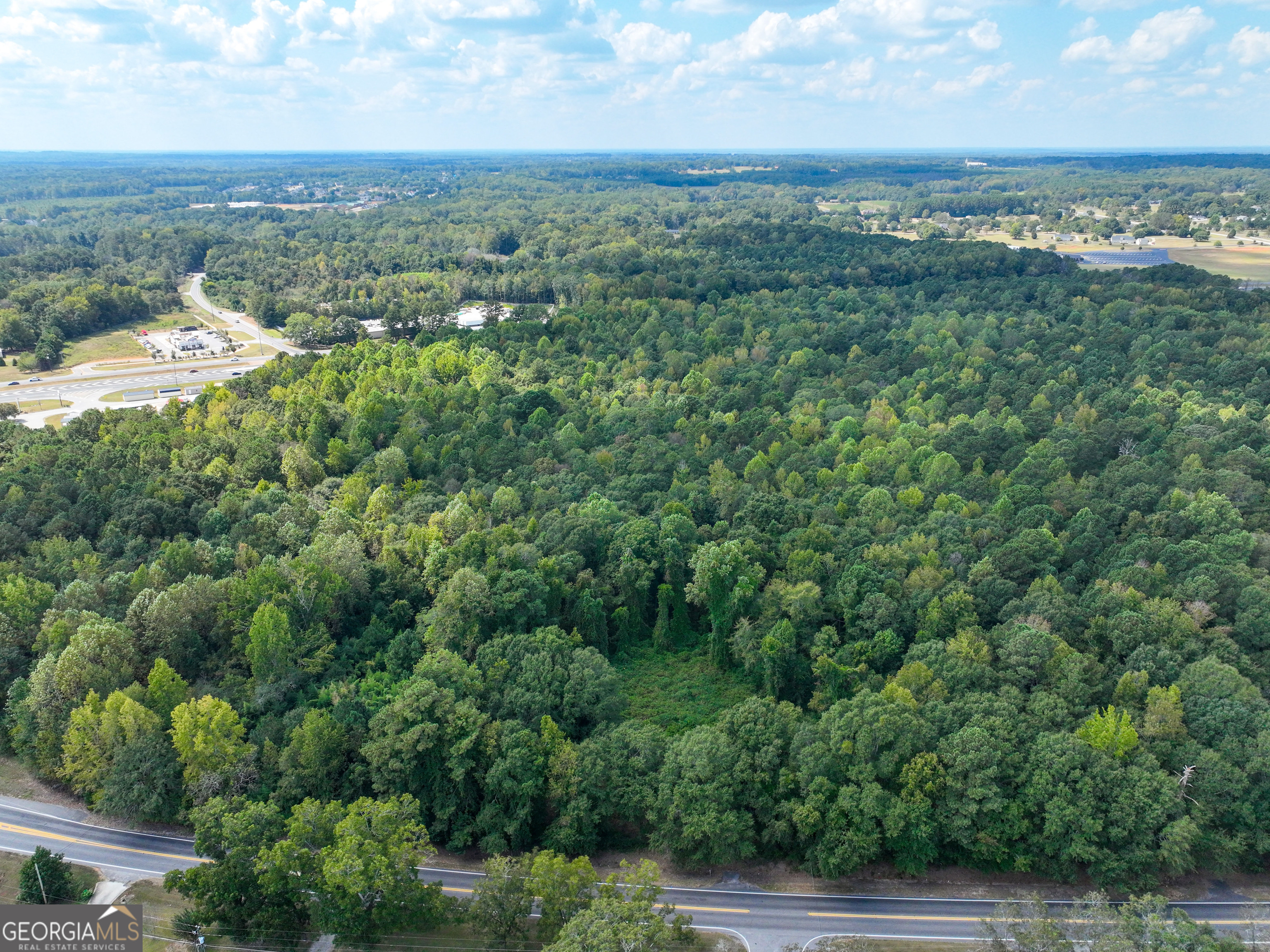 1541 Zebulon Road, Unit 4 TRACTS 35 ACRES Griffin, GA 30224 - Photo 26 of 26 an aerial view of residential houses with outdoor space and trees