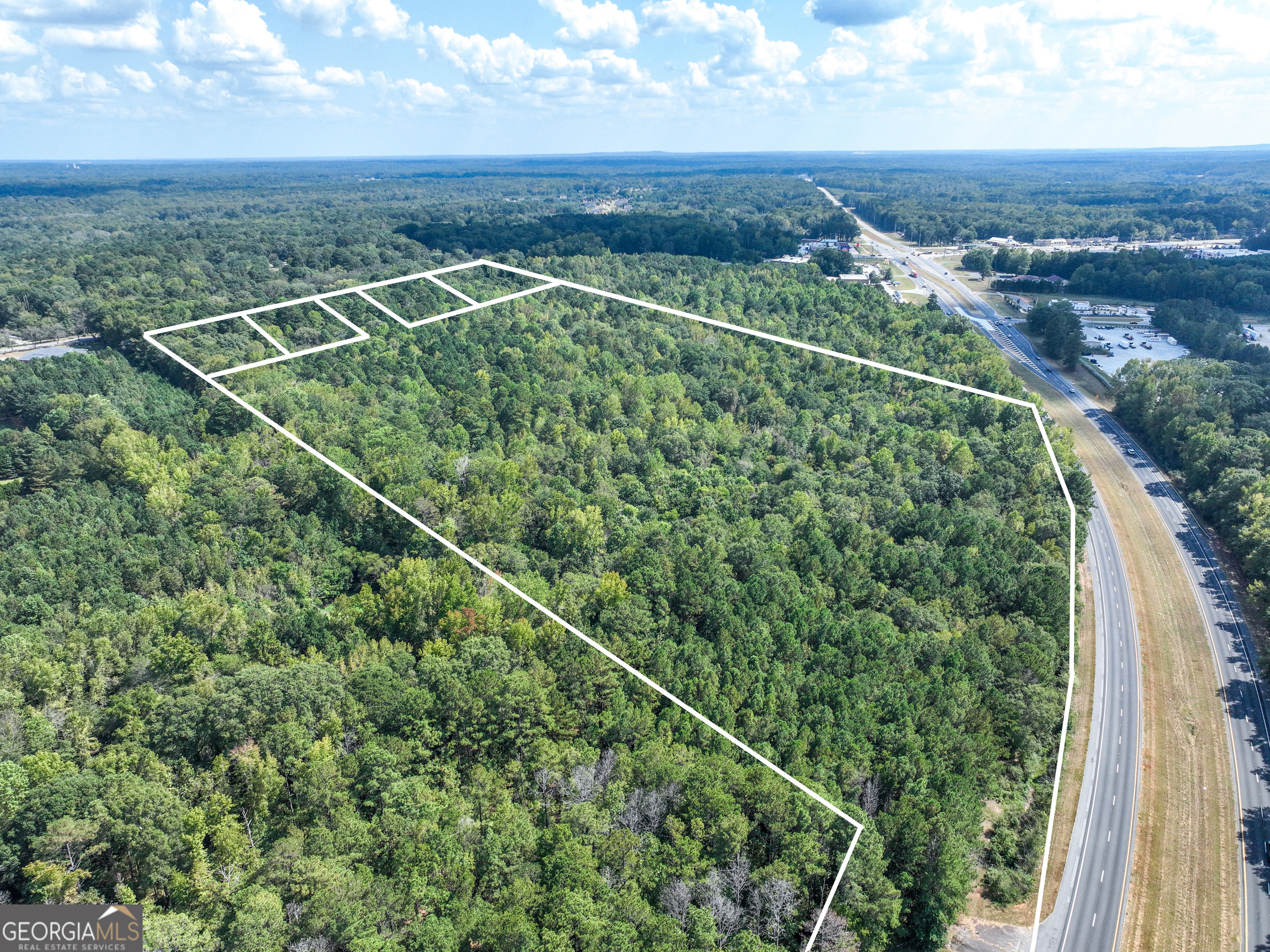 1541 Zebulon Road, Unit 4 TRACTS 35 ACRES Griffin, GA 30224 - Photo 6 of 26 an aerial view of a residential houses with outdoor space and trees