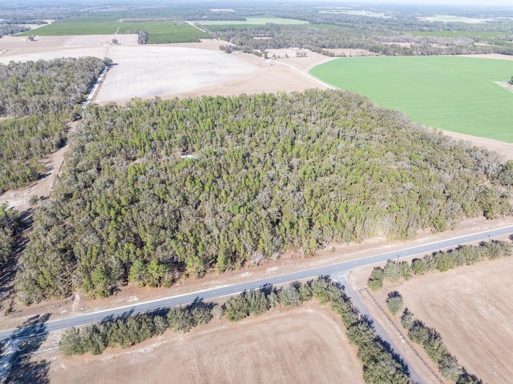 4700 County Road 340 Bell, FL 32619 - Photo 13 of 23 a view of a yard with a lake