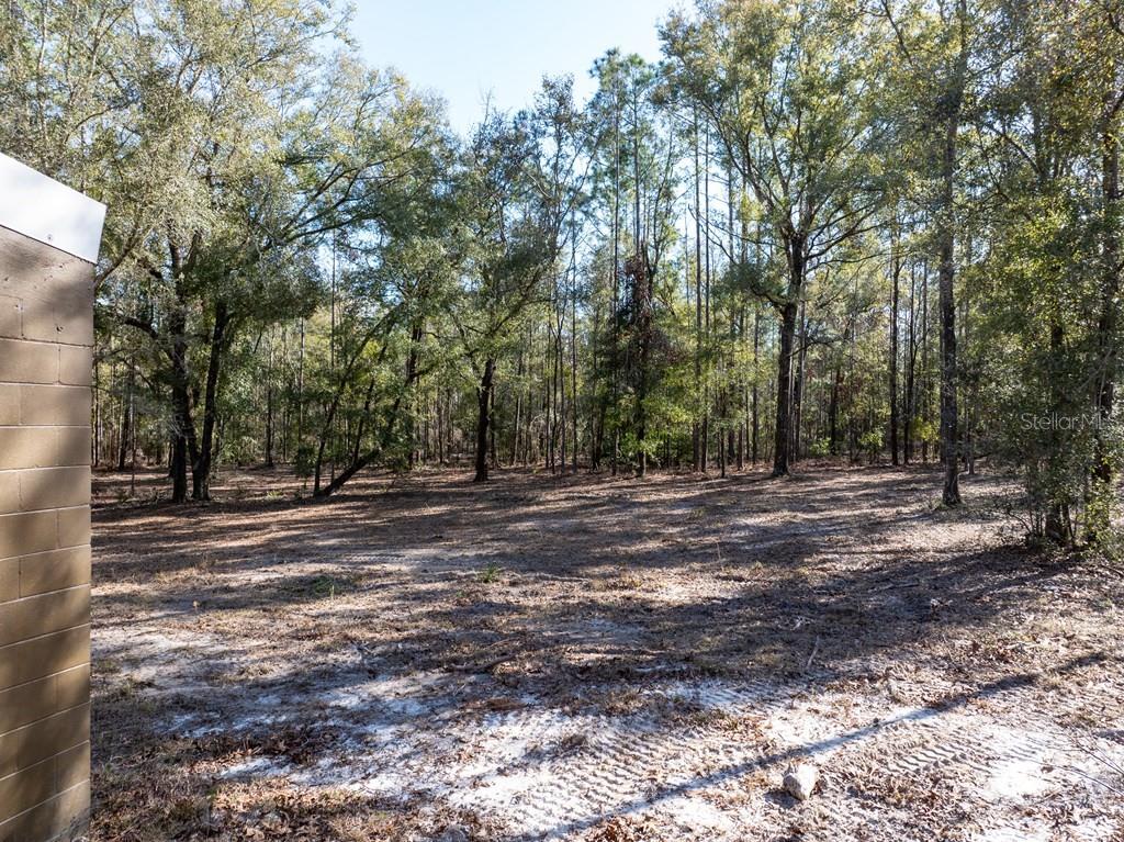 4700 County Road 340 Bell, FL 32619 - Photo 15 of 23 a view of a yard with trees