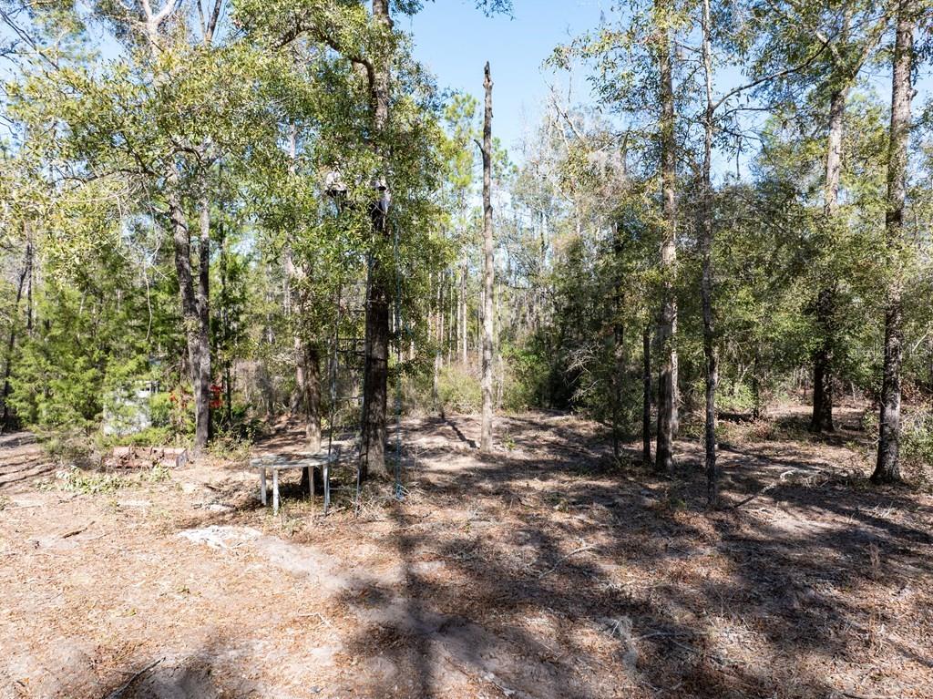 4700 County Road 340 Bell, FL 32619 - Photo 19 of 23 a view of outdoor space with chairs