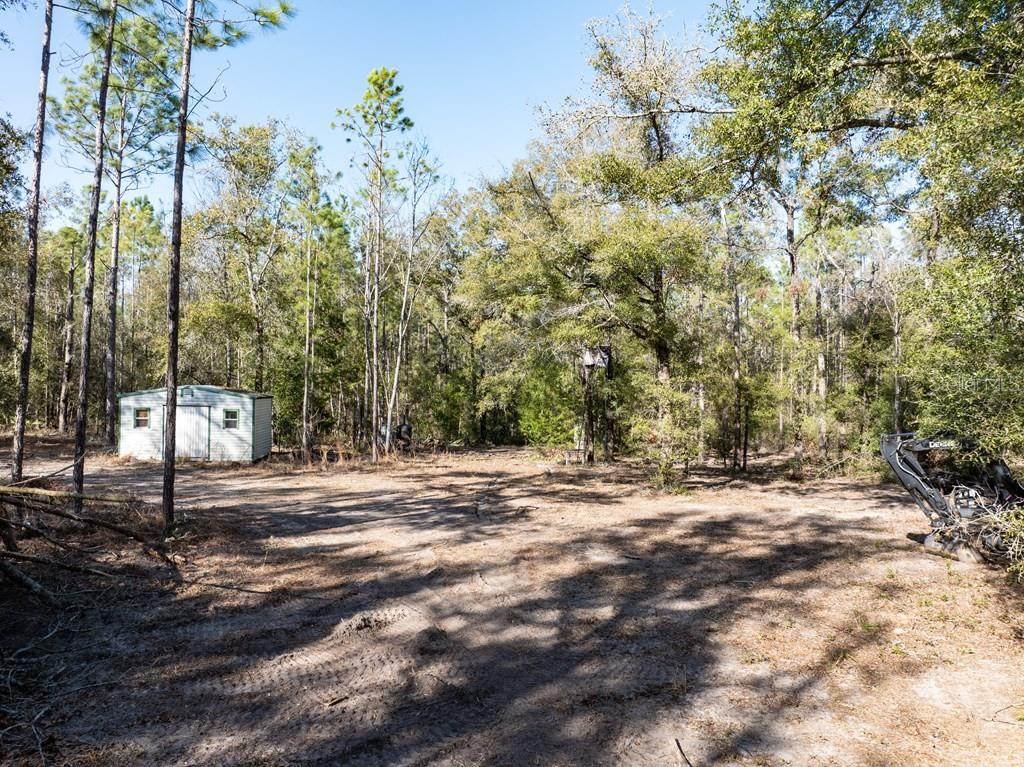 4700 County Road 340 Bell, FL 32619 - Photo 21 of 23 a view of a yard with trees