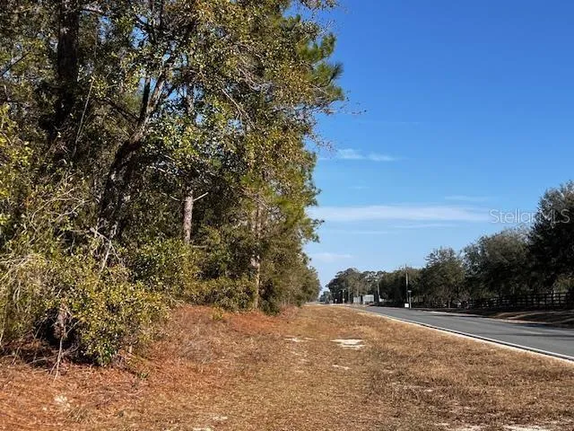 a view of a yard with a tree