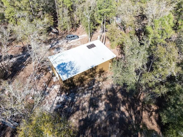 a view of a tree in a yard