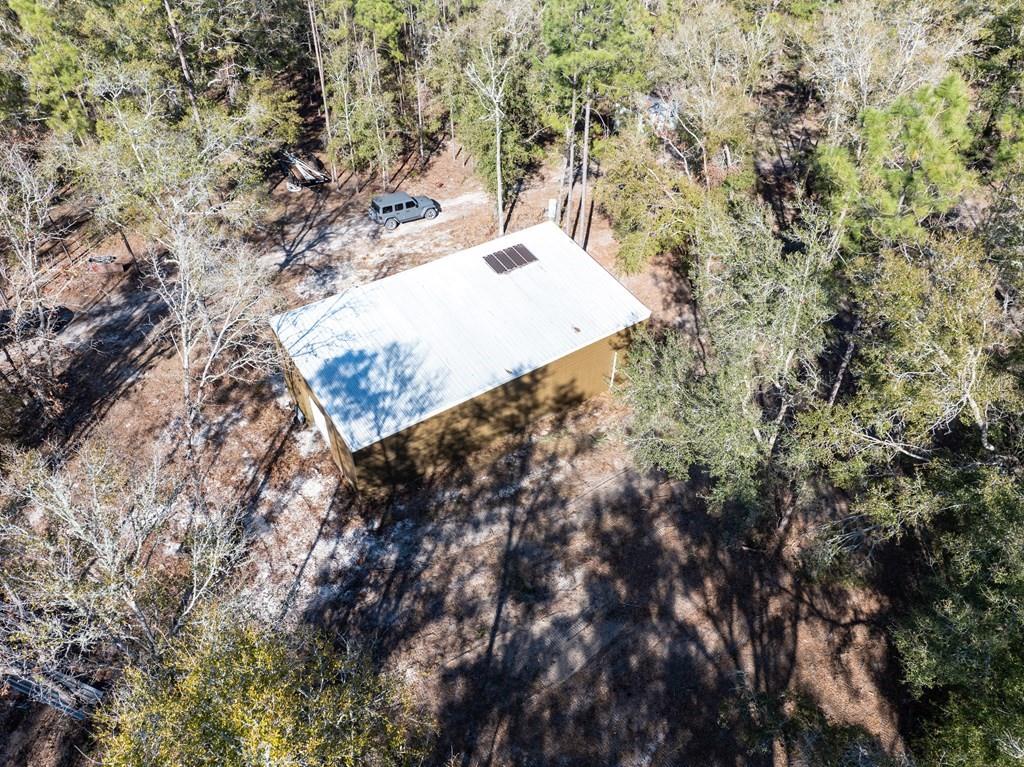 4700 County Road 340 Bell, FL 32619 - Photo 7 of 23 a view of a tree in a yard