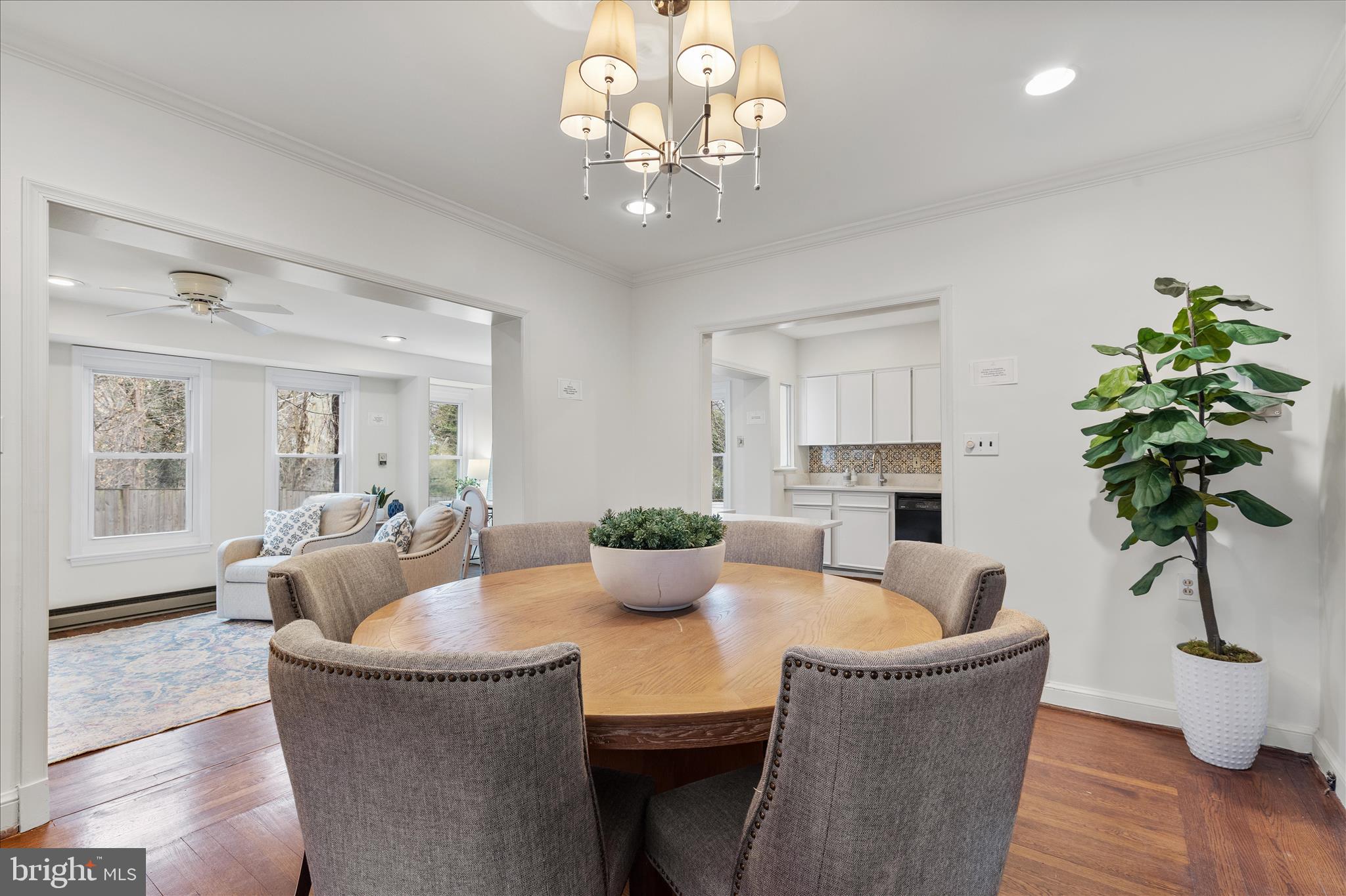 5352 29th Street Northwest Washington, DC 20015 - Photo 8 of 45 a dining room with furniture potted plants and wooden floor