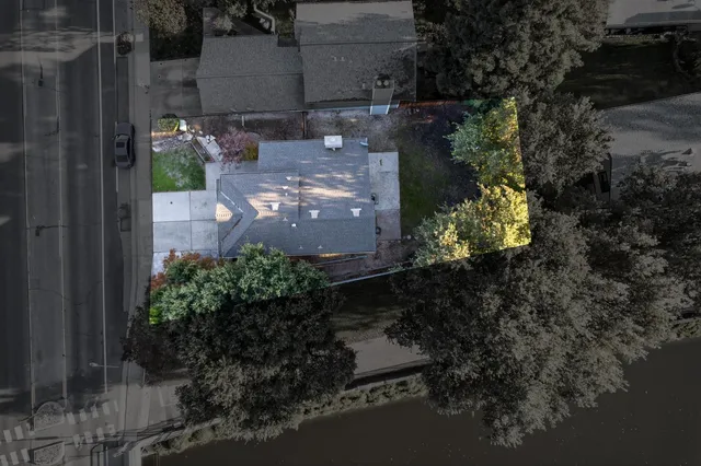 a view of a garden with potted plants