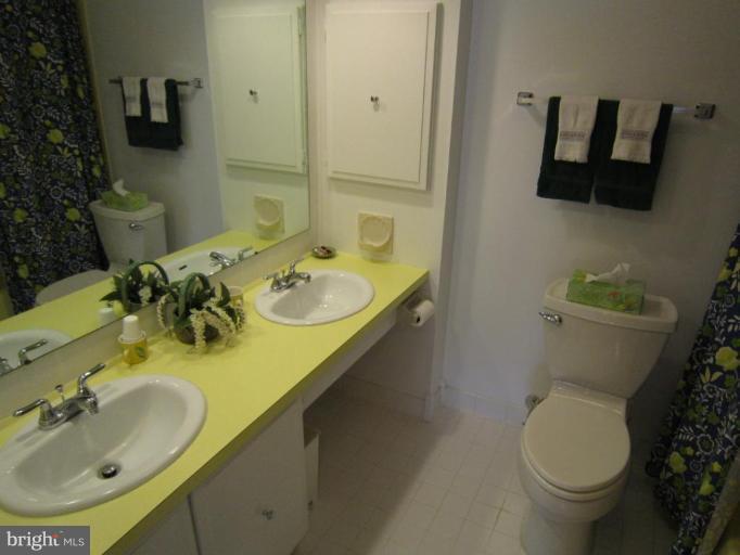 9204 Lawnview Lane Laurel, MD 20708 - Photo 13 of 24 Hall Bathroom with Double Vanities