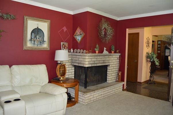 995 Ruth Drive Elgin, IL 60123 - Photo 3 of 23 a living room with furniture and a fireplace