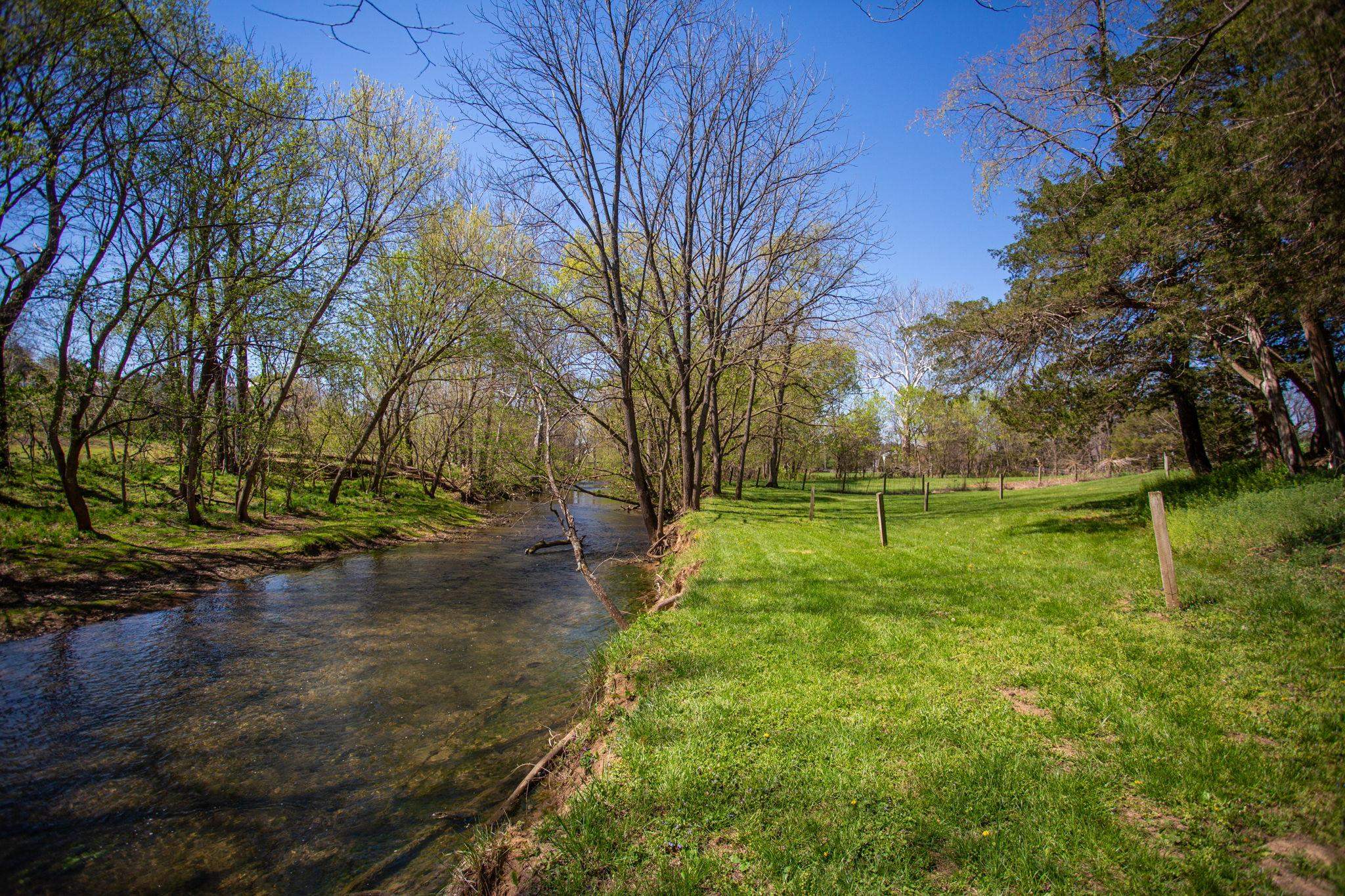 13004 Indian Trail Road Broadway, VA 22815 - Photo 50 of 56 a view of backyard with green space