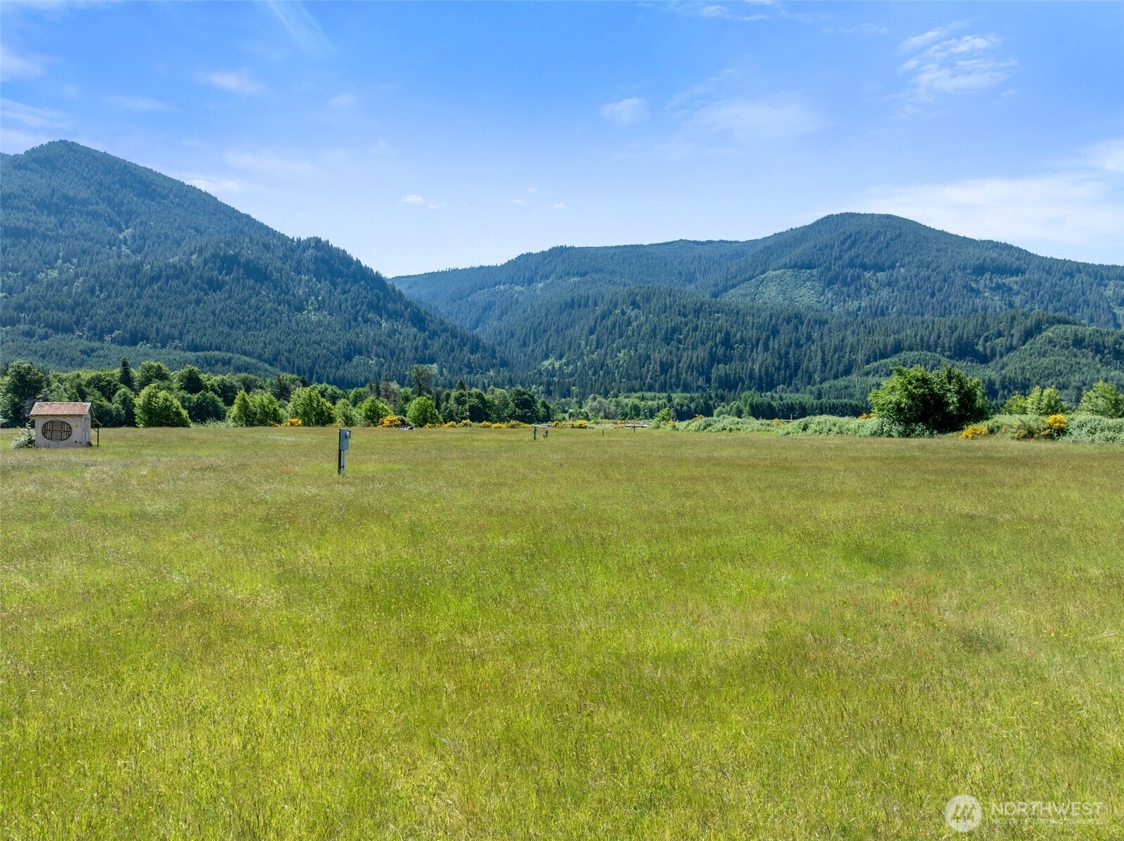 203 River Ranch Road Randle, WA 98377 - Photo 2 of 17 Gallery Image 2