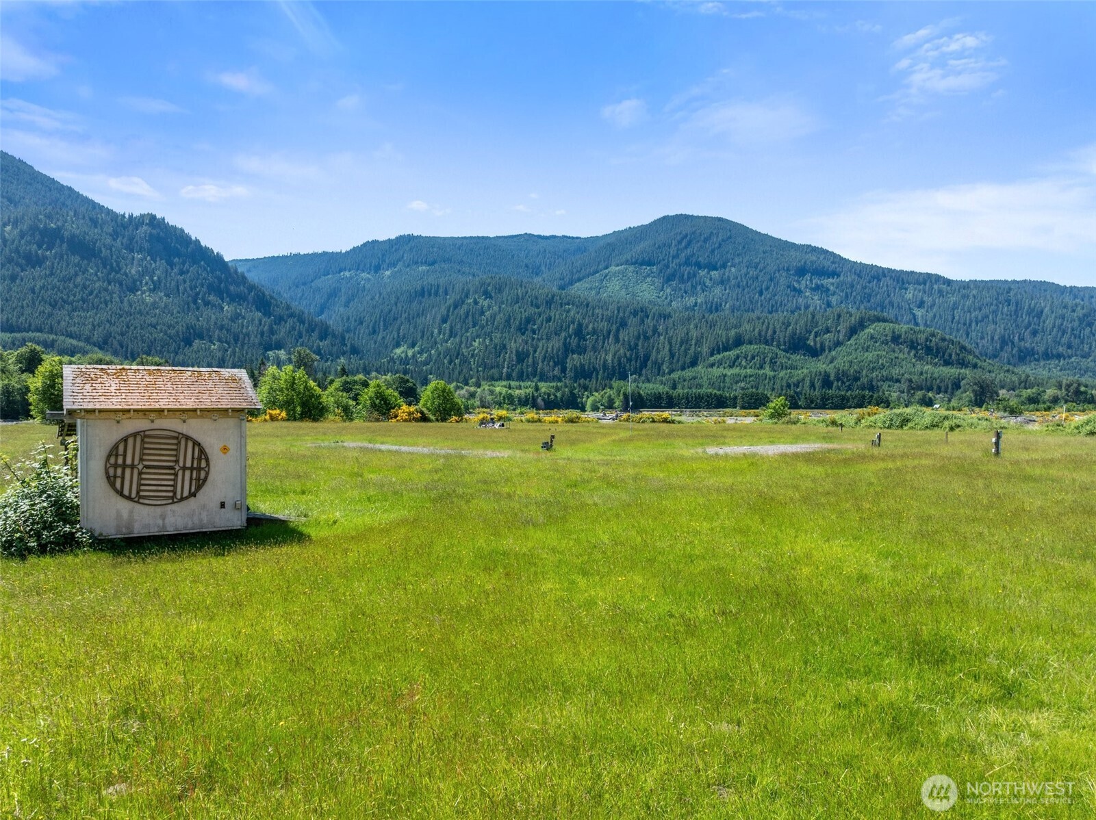 203 River Ranch Road Randle, WA 98377 - Photo 5 of 17 Gallery Image 5