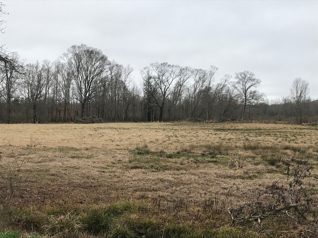 8043 Monticello Road Wesson, MS 39191 - Photo 3 of 5 Photo 3