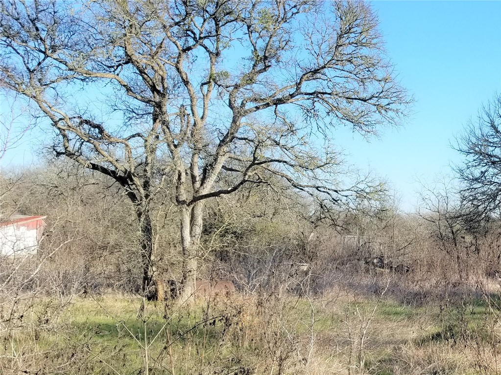 21101 Hogeye Road, Unit 13 Manor, TX 78653 - Photo 1 of 1