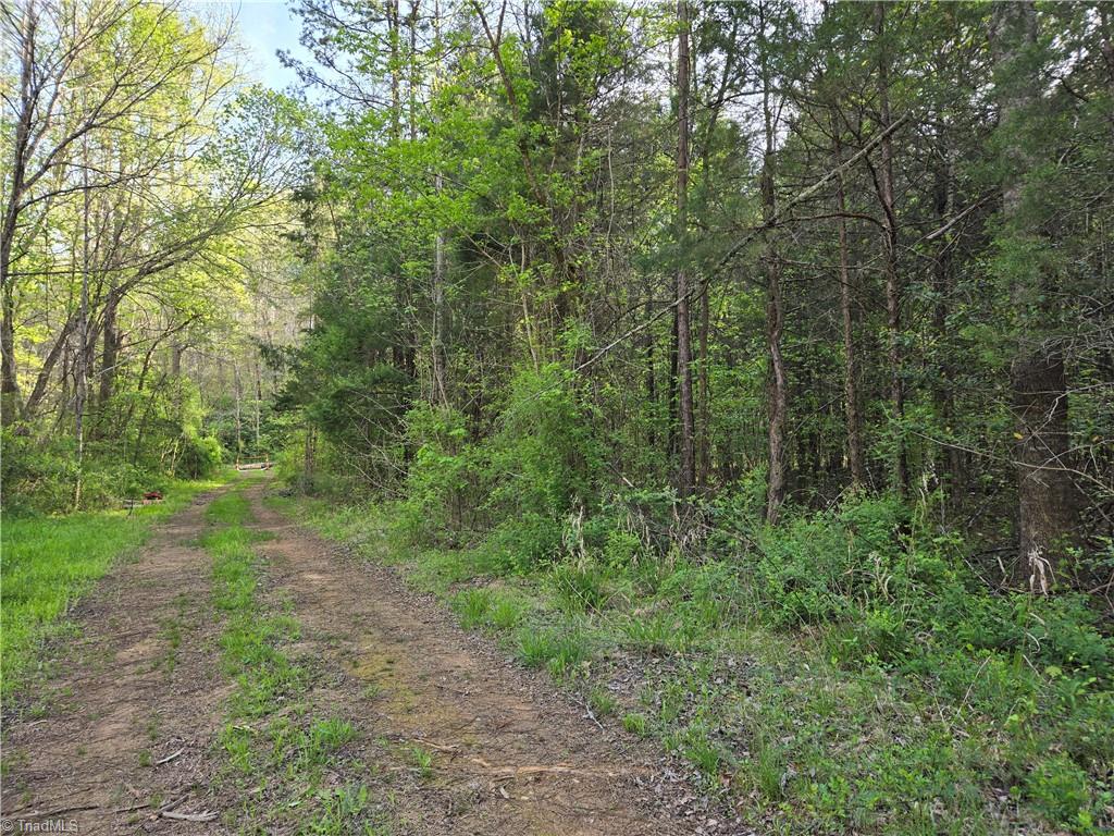 0 Hoover Hill Road Asheboro, NC 27205 - Photo 6 of 29