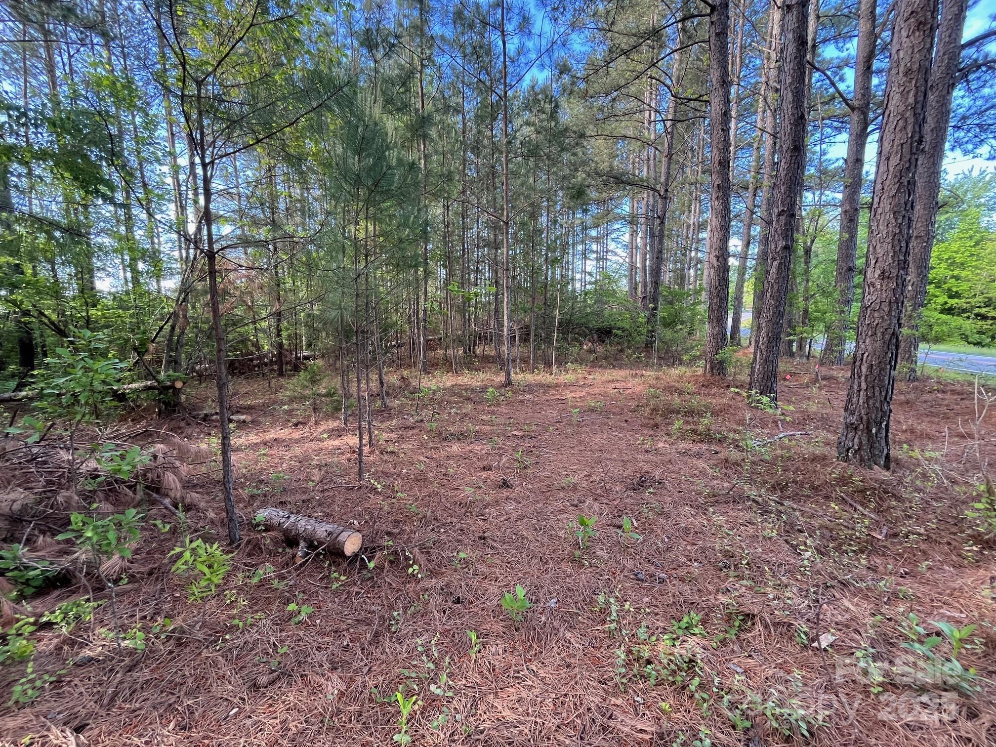 2923 Poors Ford Road Rutherfordton, NC 28139 - Photo 1 of 14 a view of outdoor space with green space