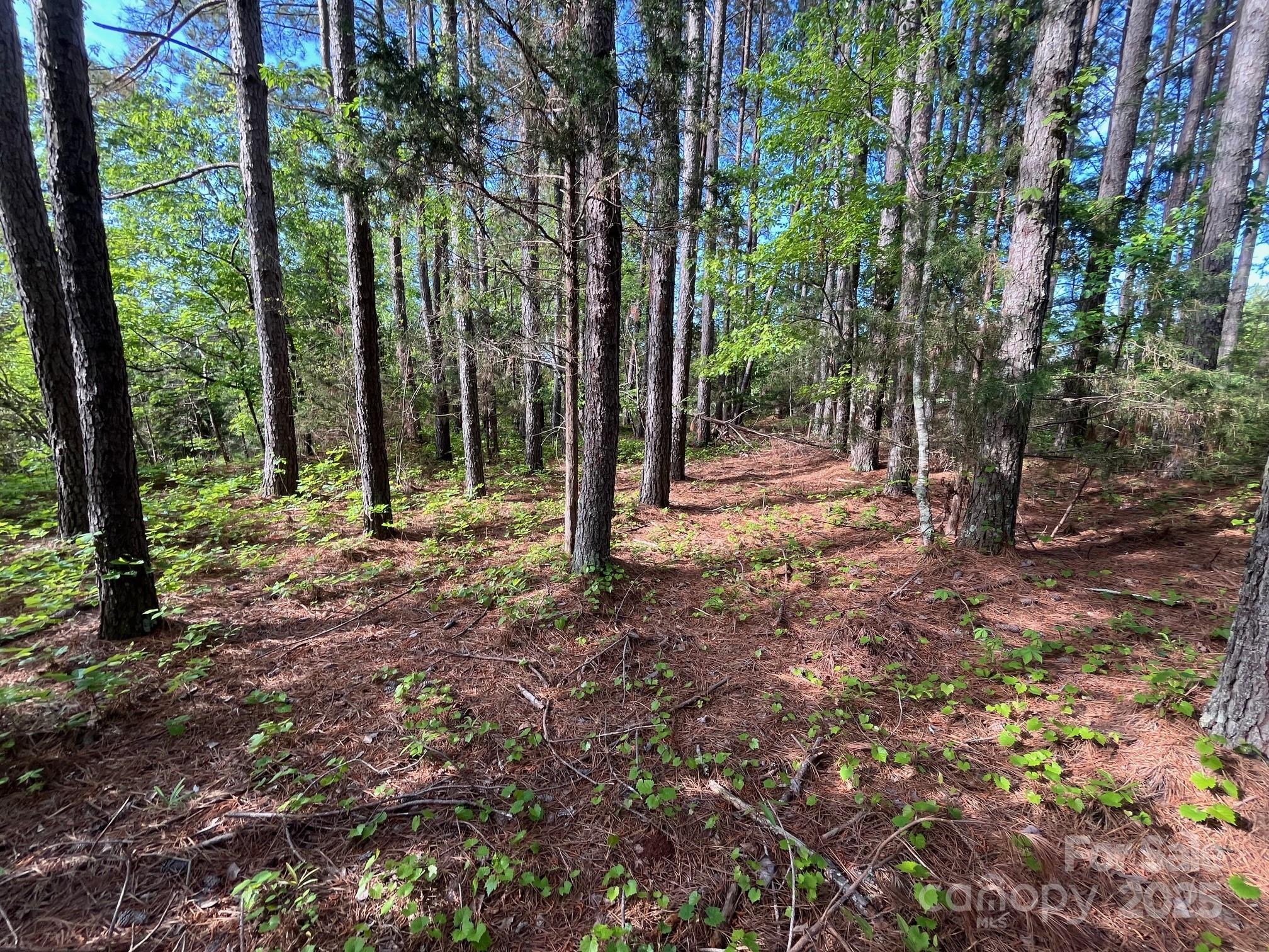 2923 Poors Ford Road Rutherfordton, NC 28139 - Photo 12 of 14 a view of outdoor space with trees