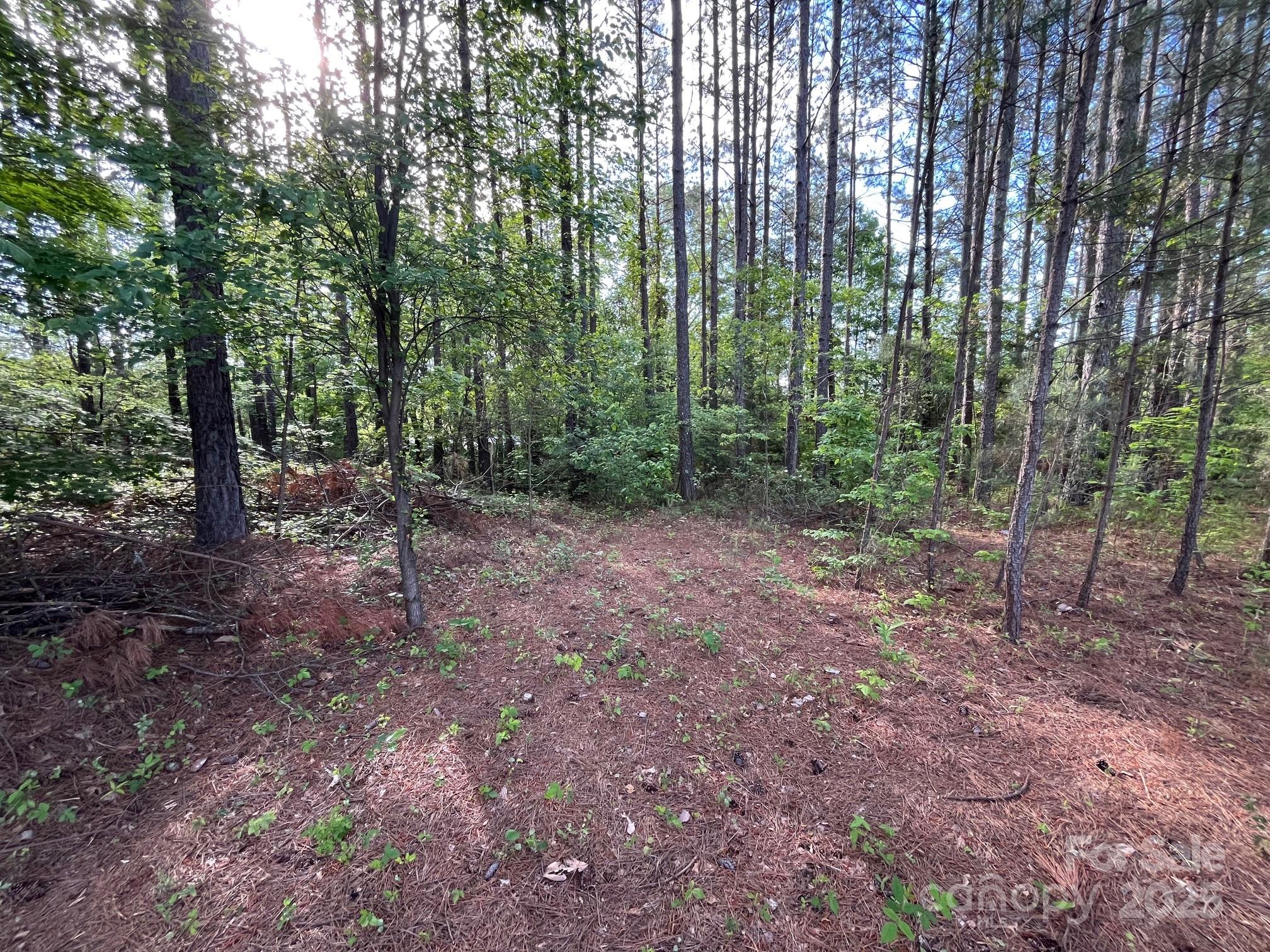 2923 Poors Ford Road Rutherfordton, NC 28139 - Photo 2 of 14 a view of outdoor space and green space