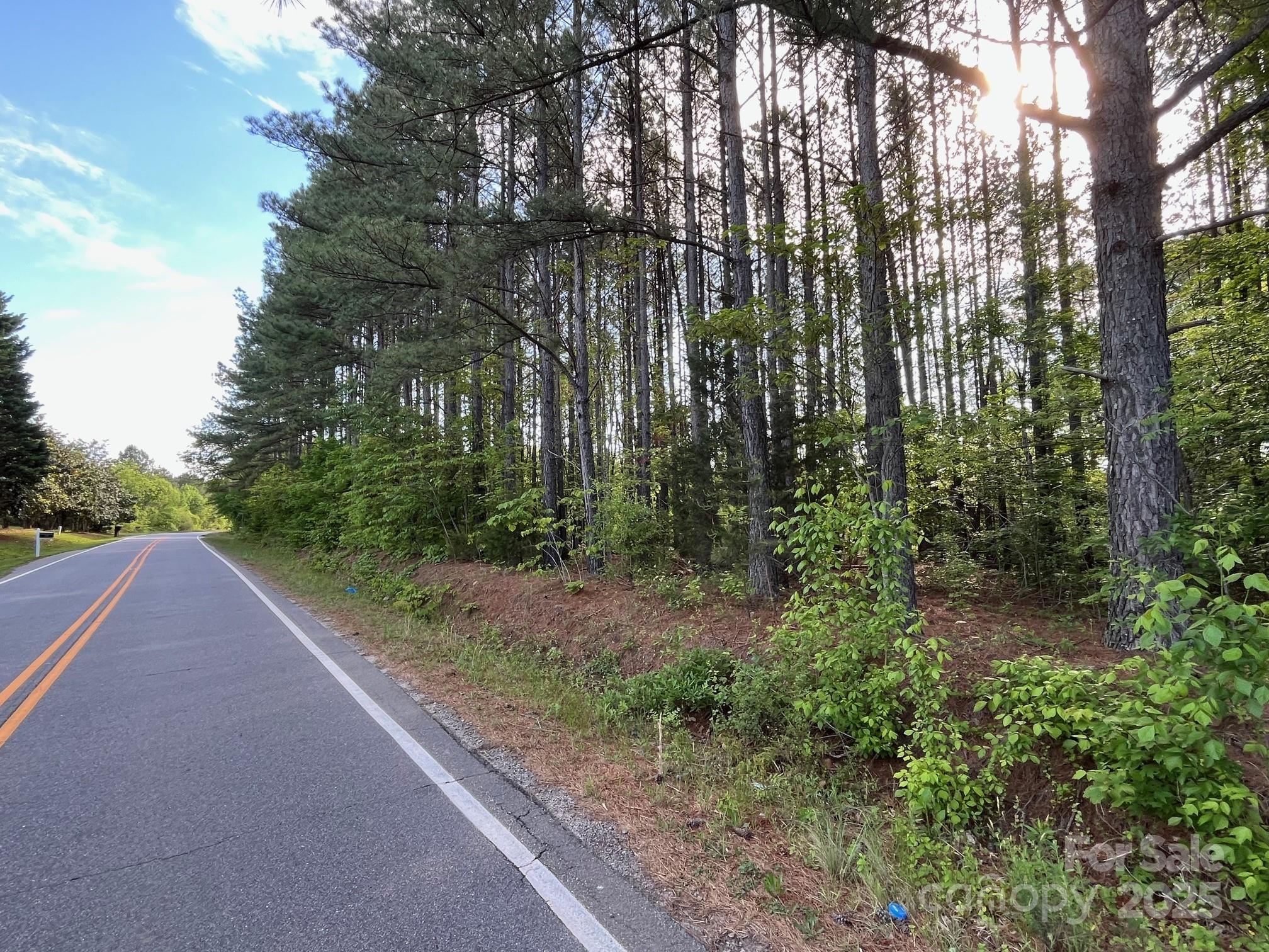 2923 Poors Ford Road Rutherfordton, NC 28139 - Photo 3 of 14 a view of a yard with plants and trees
