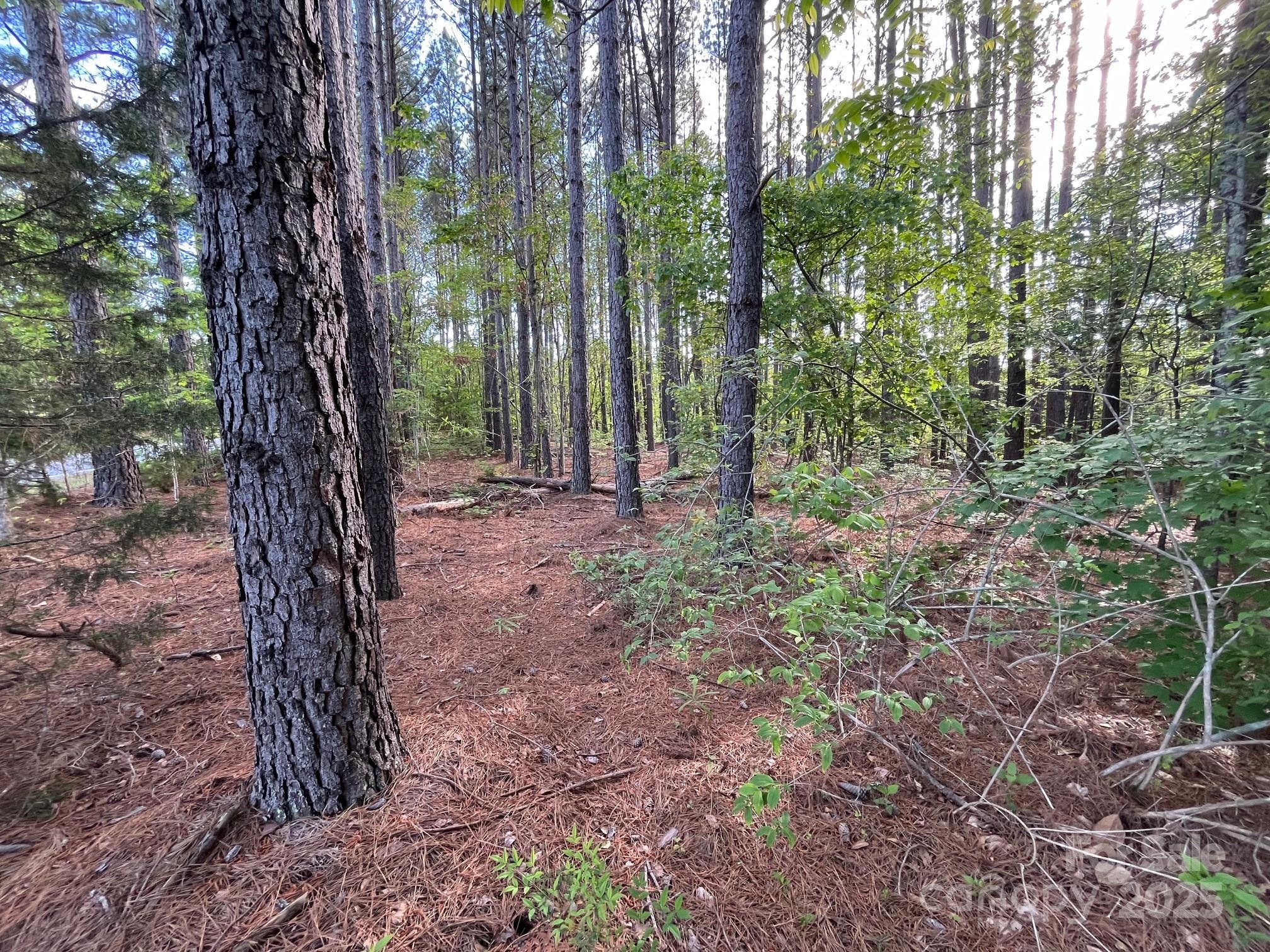 2923 Poors Ford Road Rutherfordton, NC 28139 - Photo 7 of 14 a view of outdoor space and green space