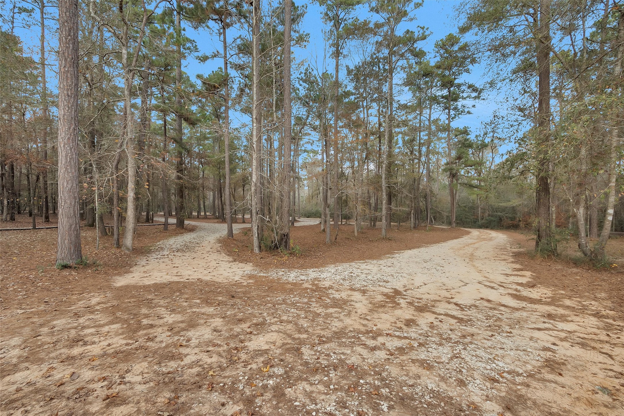 215 Fm 2929 Road Huntsville, TX 77340 - Photo 40 of 50 a backyard of a house with lots of green space