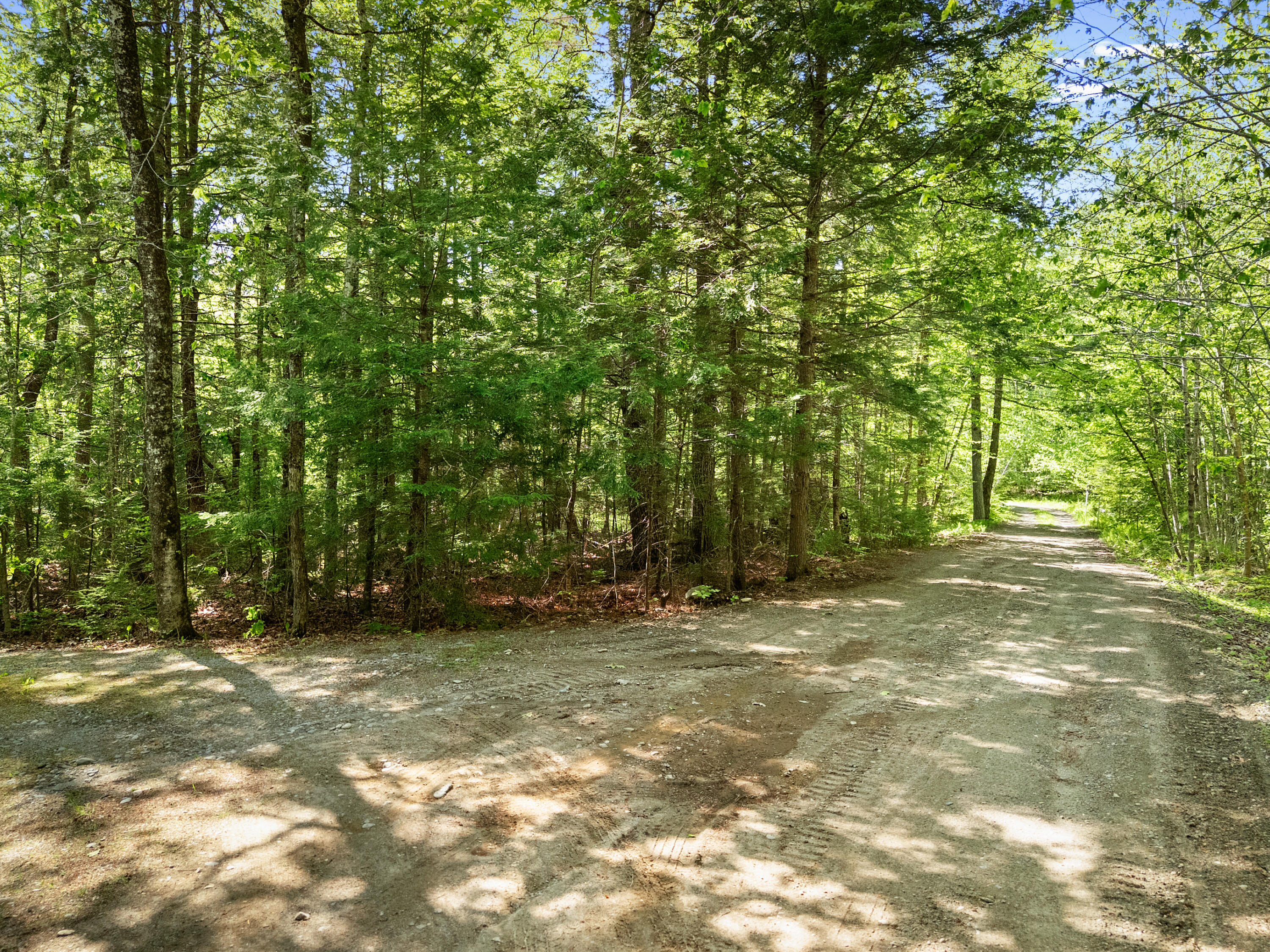 44 Percy Cove Road Nobleboro, ME 04555 - Photo 8 of 32 DJI_20260526154202_0485_D