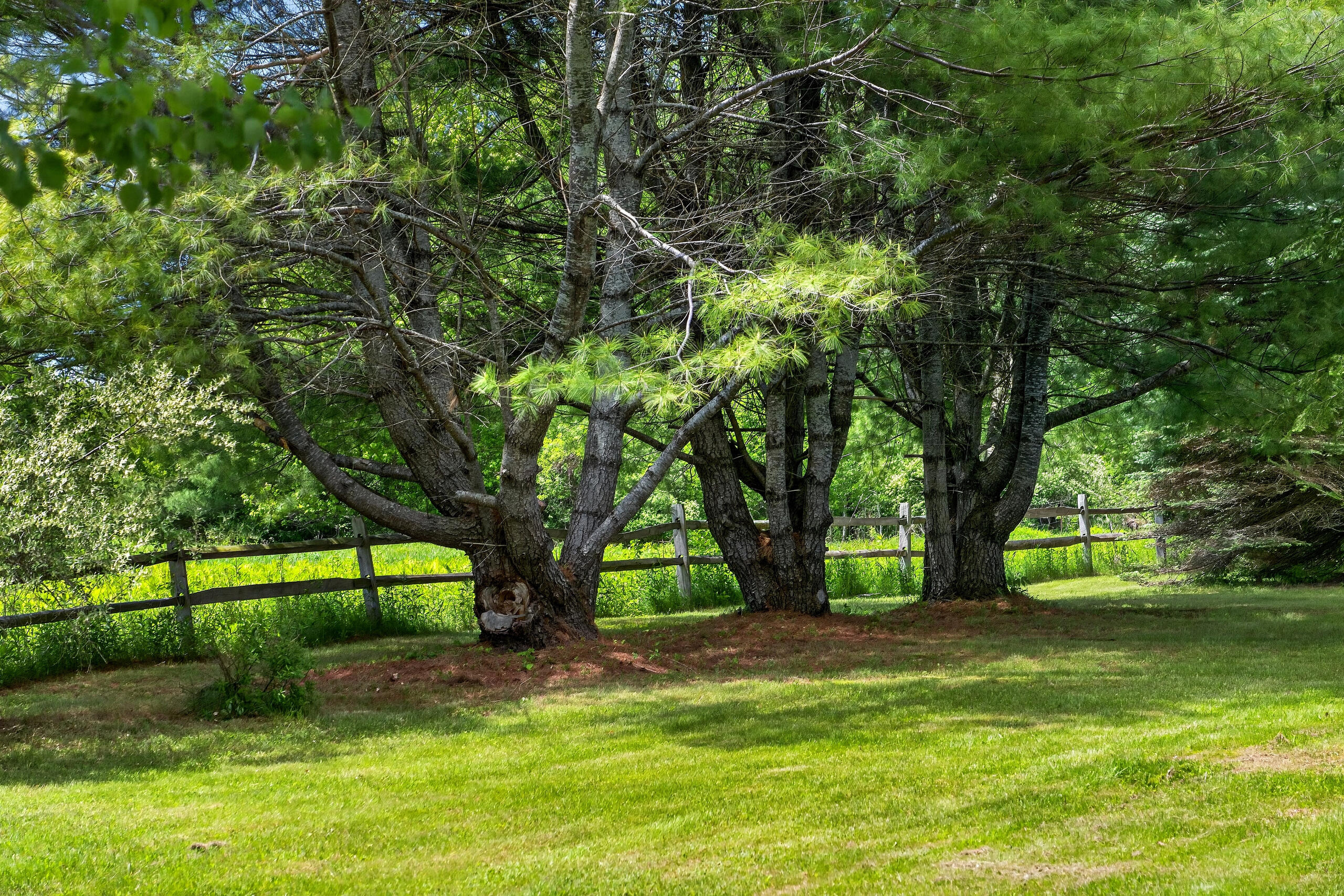 293 Sturtevant Hill Road Readfield, ME 04355 - Photo 43 of 49 044_DSC07617