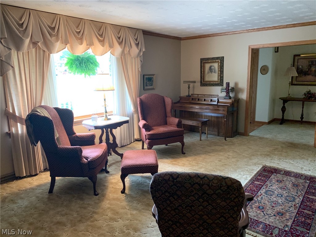 3297 Bushnell Campbell Road Fowler, OH 44418 - Photo 21 of 32 Gallery Image 21