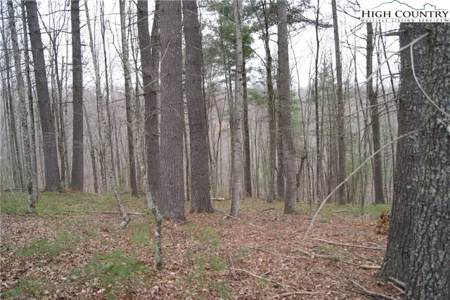 $34,600 | Lot 74 Forest Hill Drive, Sparta, NC 28675