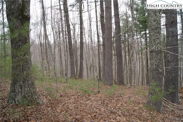 $34,600 | Lot 74 Forest Hill Drive, Sparta, NC 28675