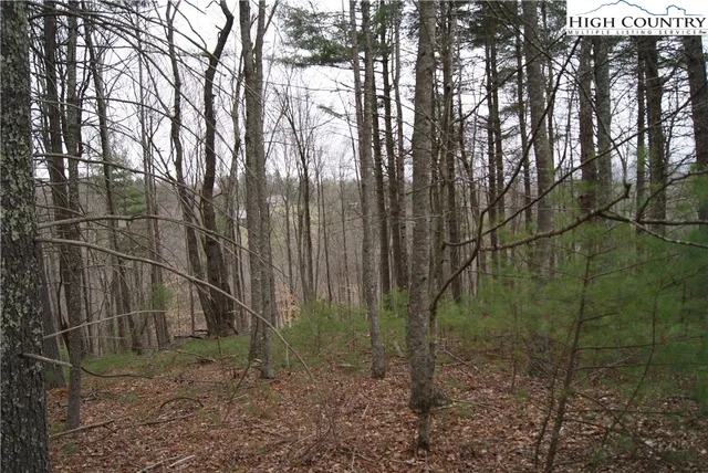 $34,600 | Lot 74 Forest Hill Drive, Sparta, NC 28675