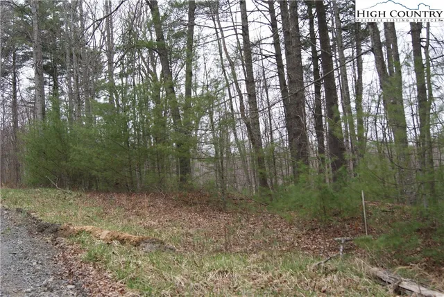 $34,600 | Lot 74 Forest Hill Drive, Sparta, NC 28675