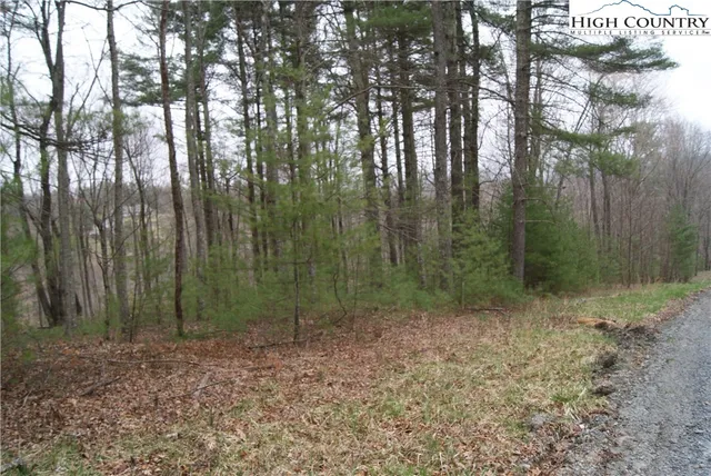 $34,600 | Lot 74 Forest Hill Drive, Sparta, NC 28675