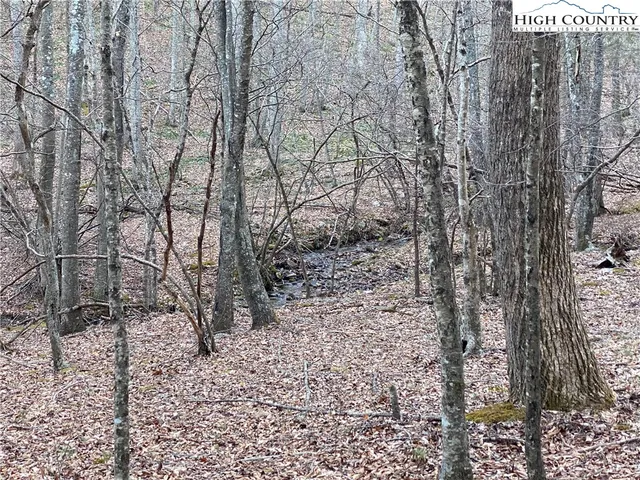 $34,600 | Lot 74 Forest Hill Drive, Sparta, NC 28675