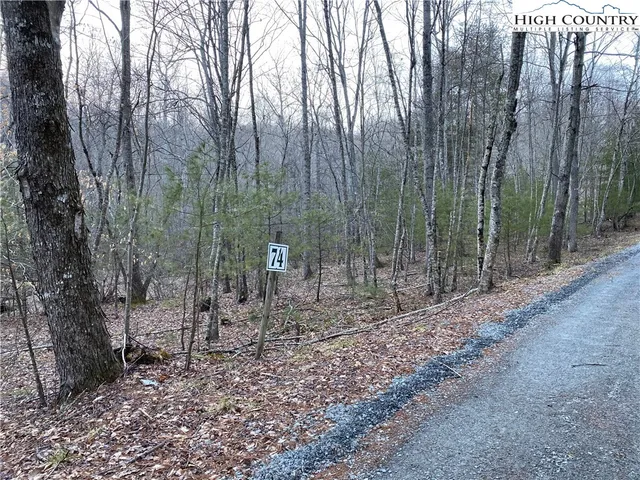 $34,600 | Lot 74 Forest Hill Drive, Sparta, NC 28675