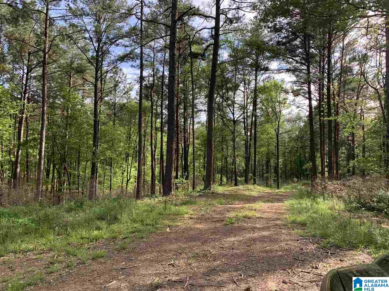 1585 Rex Lake Road, Unit 1585 Leeds, AL 35094 - Photo 7 of 16