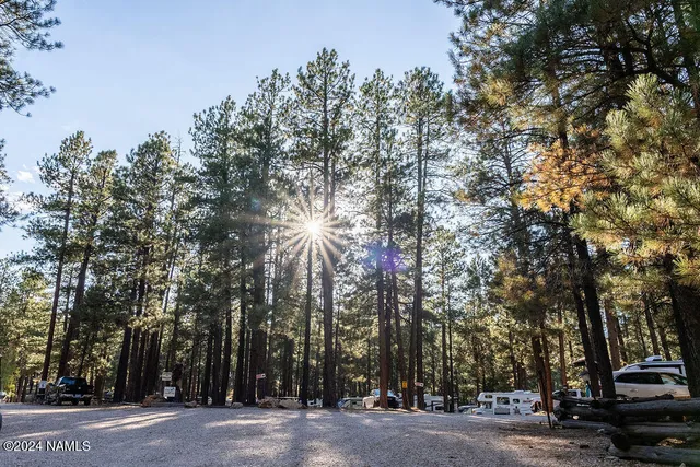 a view of street with large trees