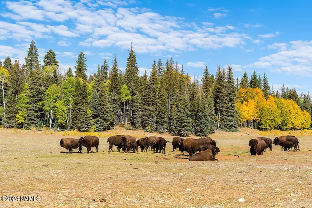 $3,750,000 | 770 Forest Service 461 Fredonia Az 86022, Fredonia, AZ 86022
