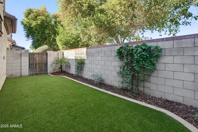 a view of a backyard with a plants and trees