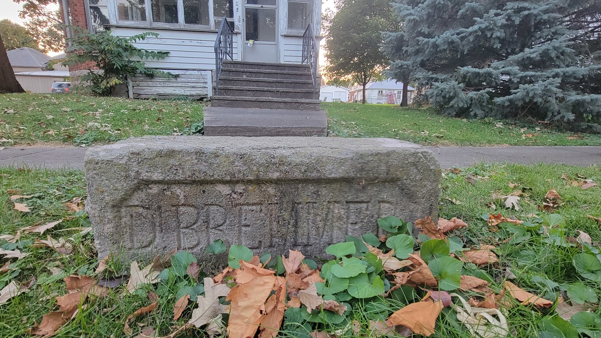 505 Paddock Avenue Ashton, IL 61006 - Photo 2 of 31 a view of a garden with plants
