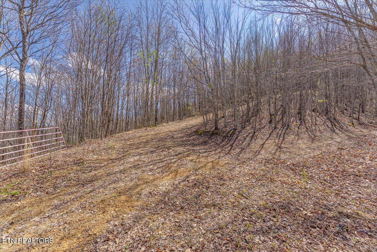422 Crooked Branch Road Huntsville, TN 37756 - Photo 19 of 35 29-Entrance A4