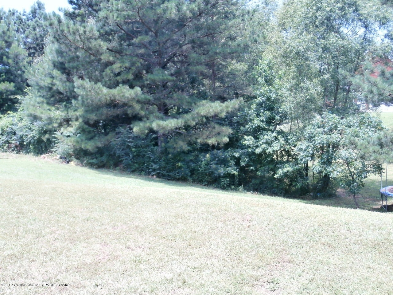 34 Hayfield Loop Dora, AL 35062 - Photo 36 of 36 Gallery Image 36