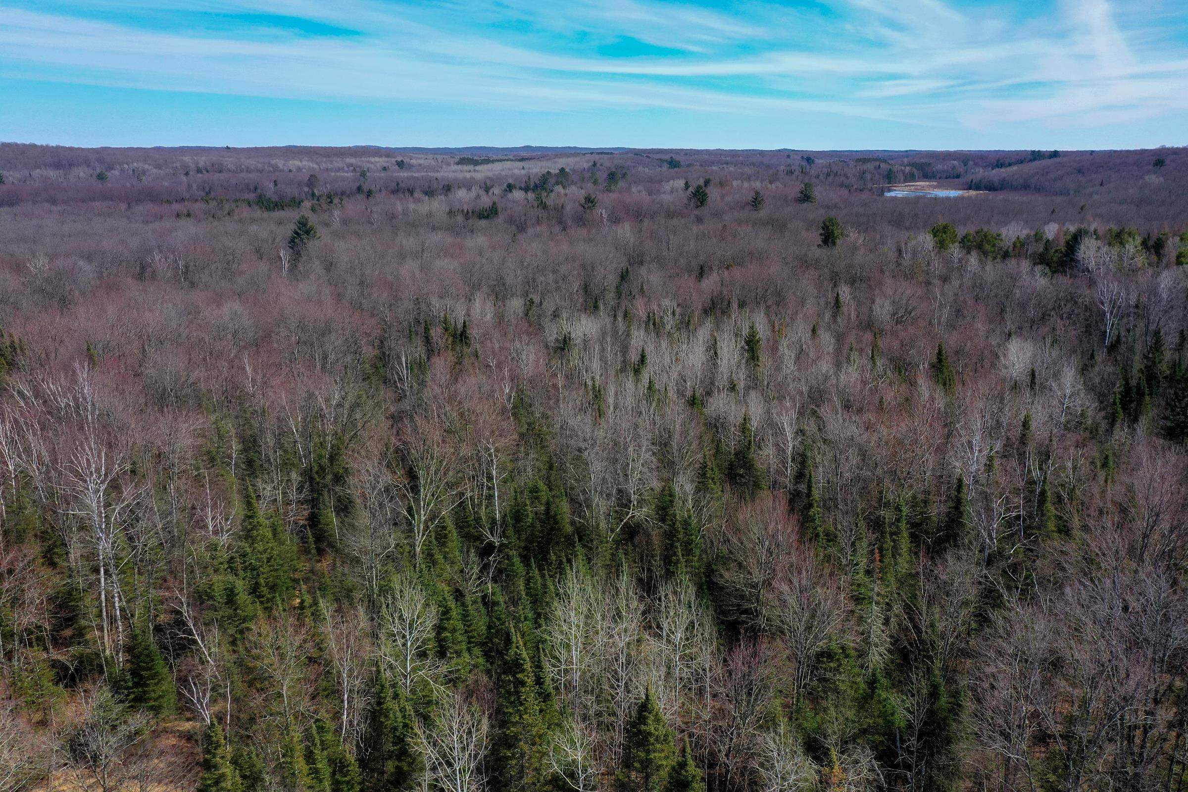 N8584 County Road East Westboro, WI 54490 - Photo 23 of 27