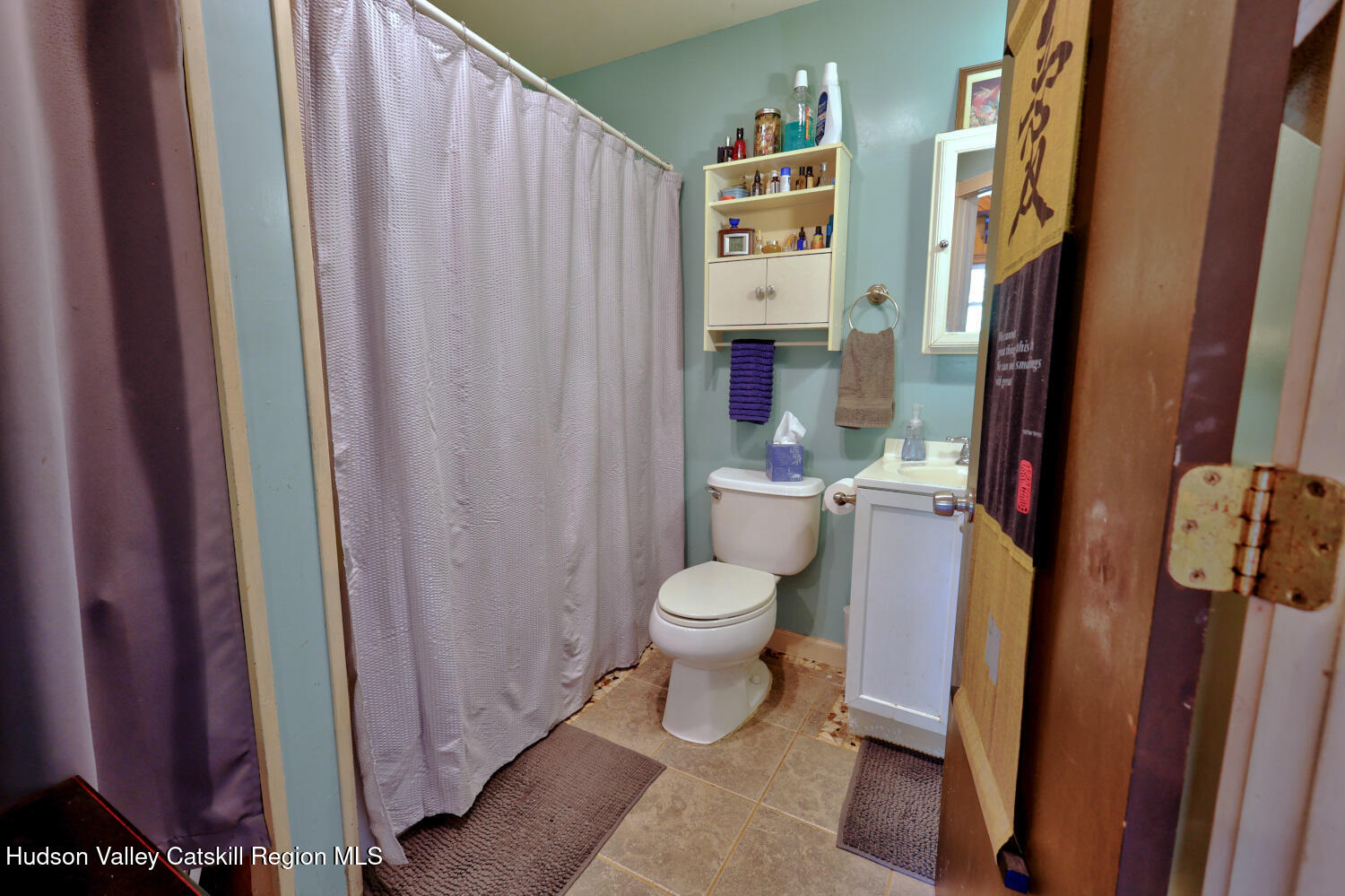 457 Hervey Street Road Cornwallville, NY 12418 - Photo 16 of 61 a bathroom with a toilet and a shower curtain