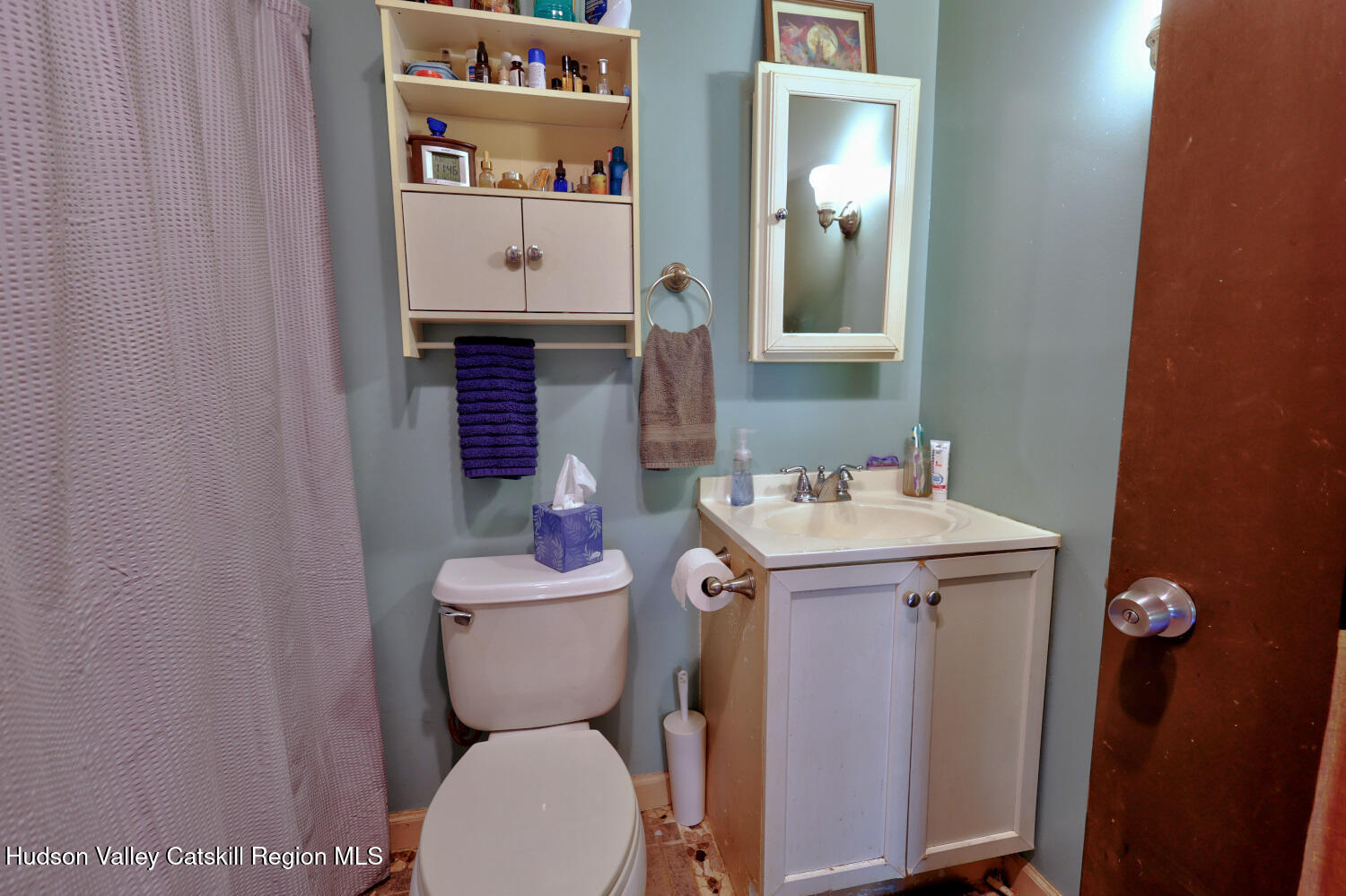 457 Hervey Street Road Cornwallville, NY 12418 - Photo 17 of 61 a bathroom with a sink a toilet and a mirror