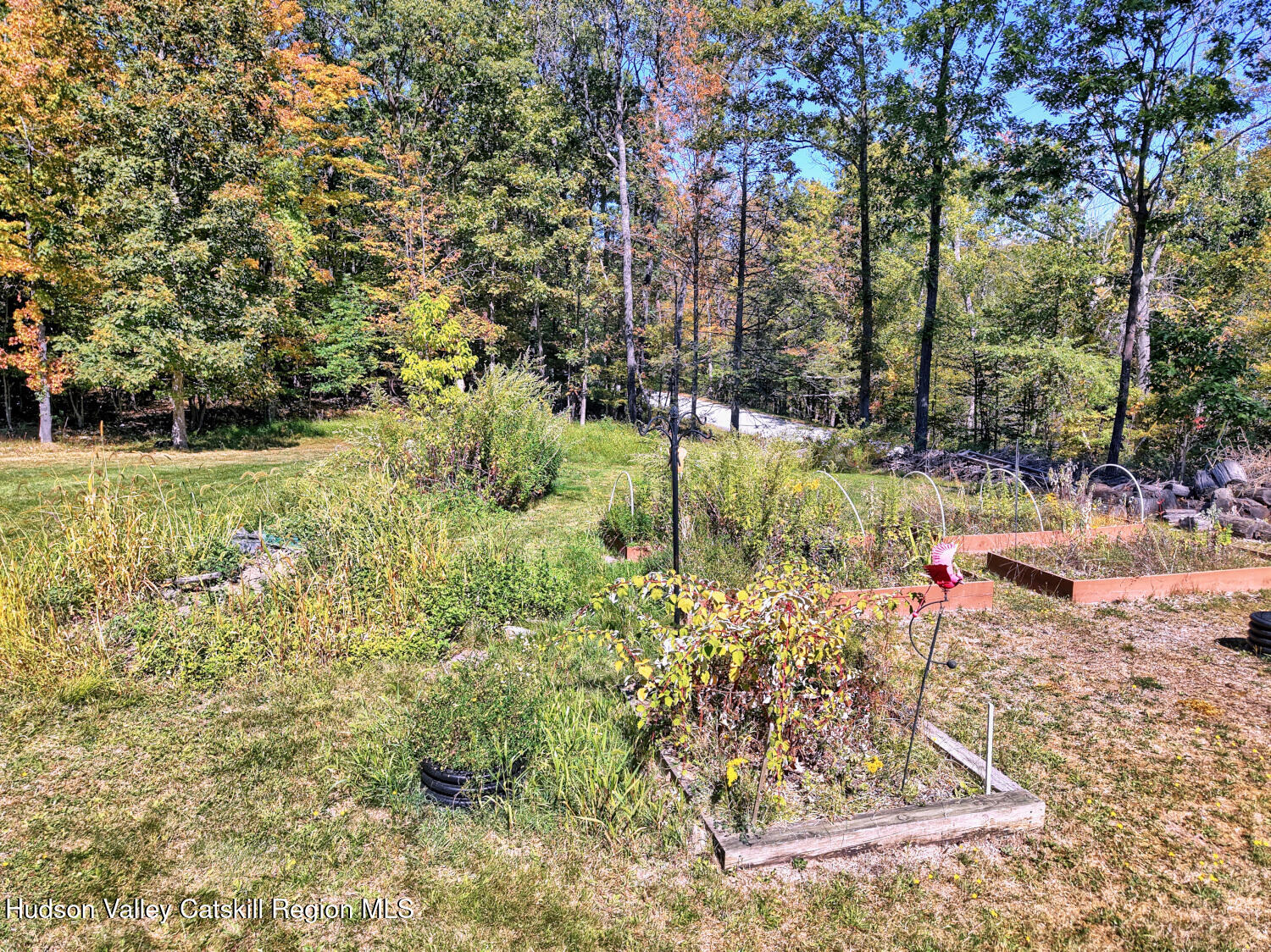 457 Hervey Street Road Cornwallville, NY 12418 - Photo 27 of 61 a view of a yard with large trees