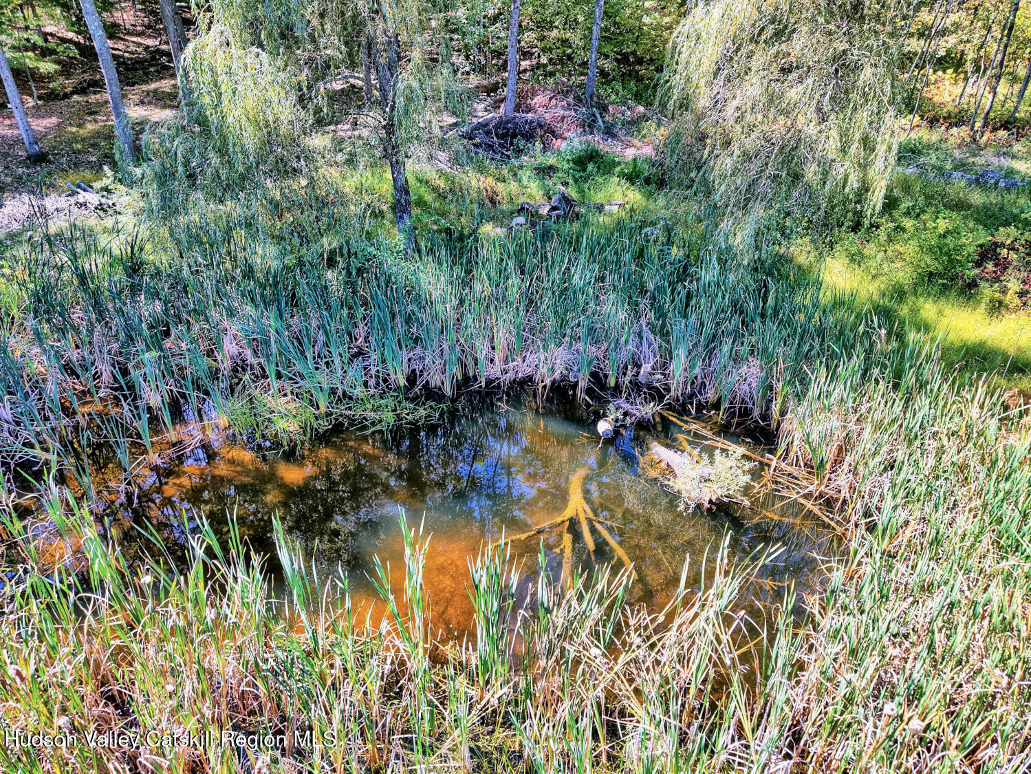 457 Hervey Street Road Cornwallville, NY 12418 - Photo 28 of 61 a backyard of a house with lots of green space and trees all around