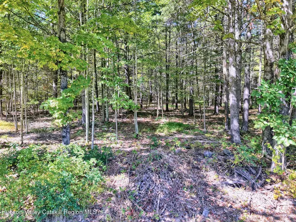 $269,900 | 457 Hervey Street Road, Cornwallville, NY 12418